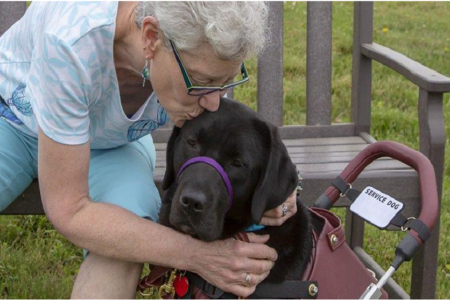 National Service Dog Month