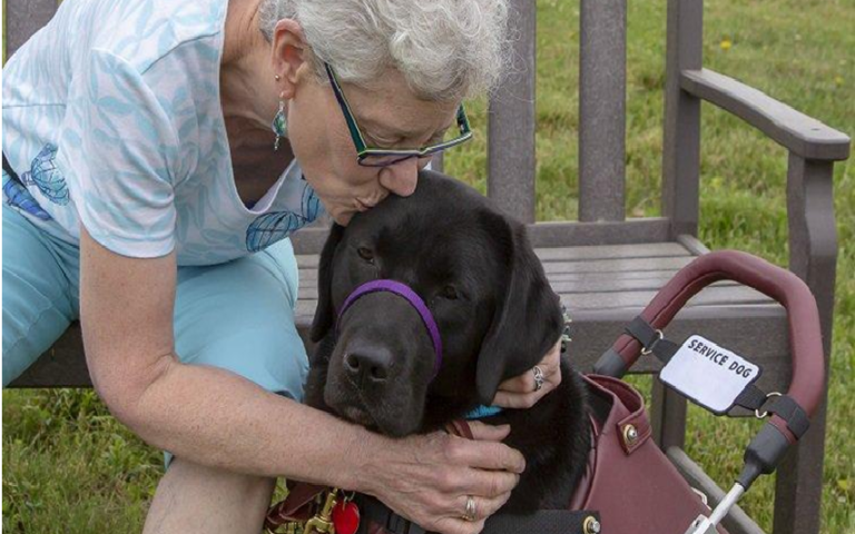 National Service Dog Month