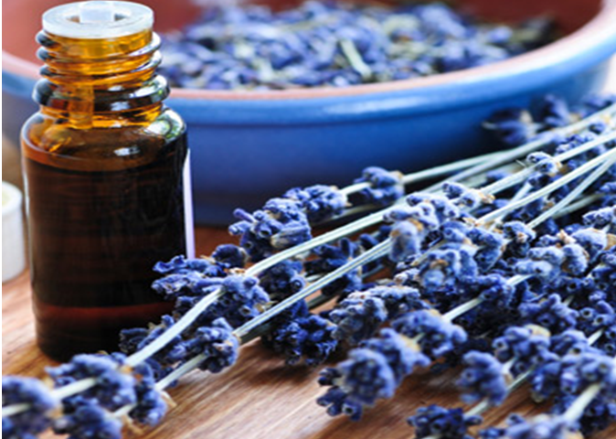 Organic Essential Oils