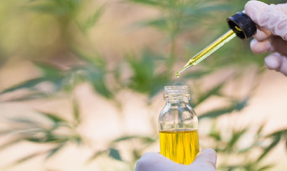 Learn How Effective Is CBD for Treating Leukemia