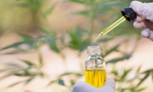 Learn How Effective Is CBD for Treating Leukemia
