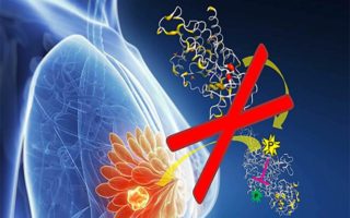 A Comprehensive Guide to Reduce the Risk of Cancer