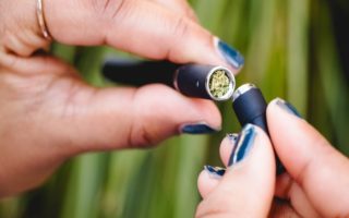 How Do Vaporizers Work