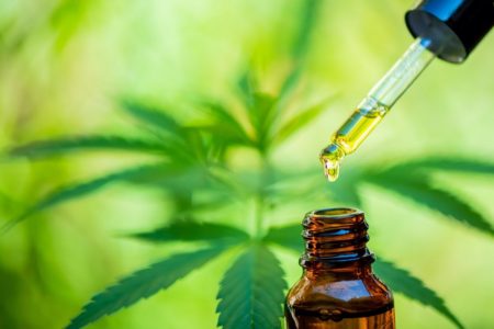 Cannabidiol Oil