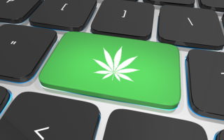 Medical Cannabis Cards Online