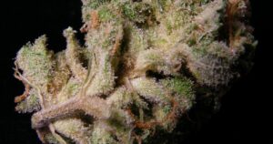 Strawberry Cough